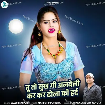 Tu To Sukh Gi Albeli Kar Kar Dhola Ki Hard - Balli Bhalpur album cover 