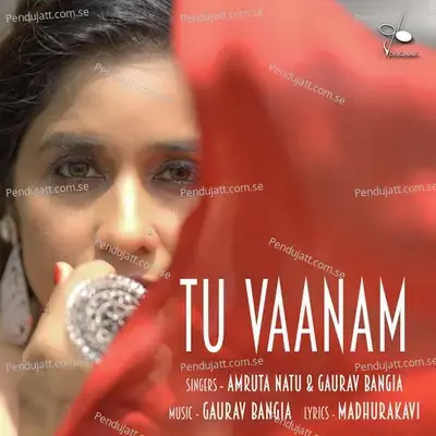 Tu Vaanam - Gaurav Bangia album cover 