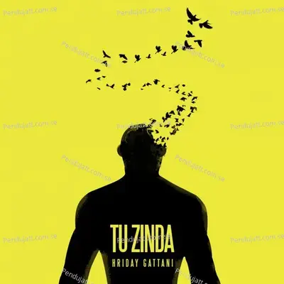 Tu Zinda - Hriday Gattani album cover 