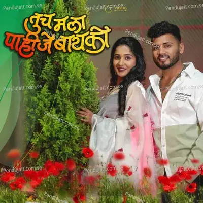 Tuch Mala Pahije Baiko - Akshay Anant Patil album cover 