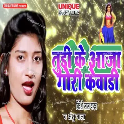 Tudi Ke Aaja Gori Kewari - Videshi Lal Yadav album cover 