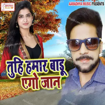 Tuhi Hamar Badu Aego Jaan - Vinay Kumar Yadav album cover 
