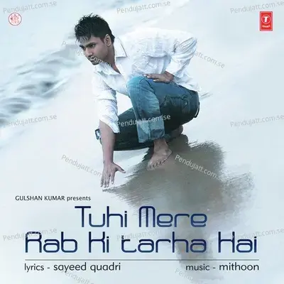 Aashiqui Aashiqui Tuhe Meri - Mithoon album cover 