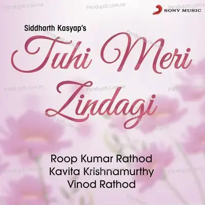 Tere Pyar Ka - Kavita Krishnamurthy album cover 