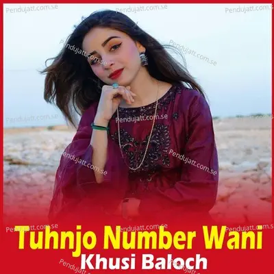 Tuhnjo Number Wani - Khusi Baloch album cover 