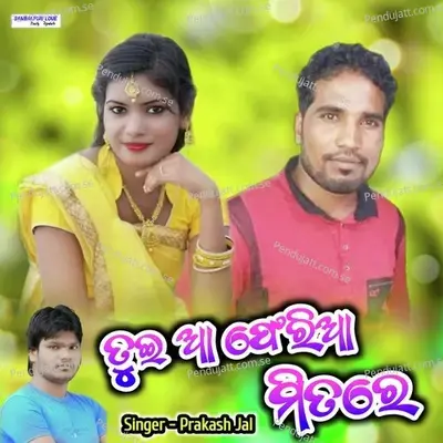 Tui Aa Phiri Aa Mitare - Prakash Jal album cover 