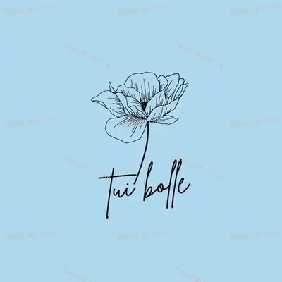 Tui Bolle - D RE W album cover 