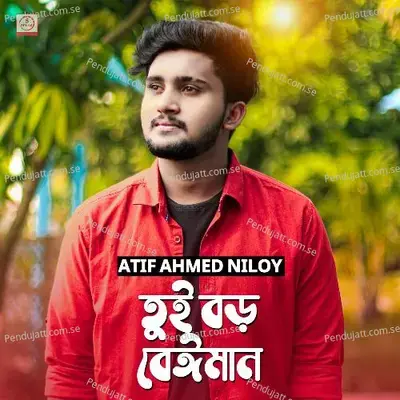 Tui Boro Beiman - Atif Ahmed Niloy album cover 