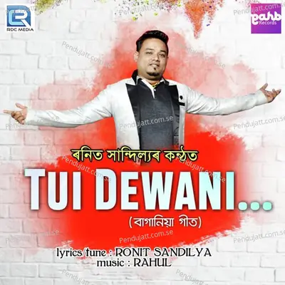 Tui Dewani - Ronit Sandilya album cover 