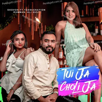Tui Ja Choli Ja - TahseeNation album cover 