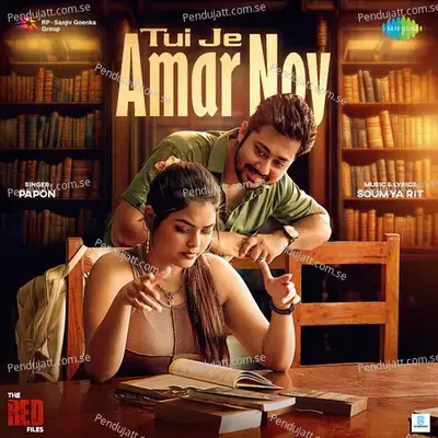 Tui Je Amar Noy - Soumya Rit album cover 