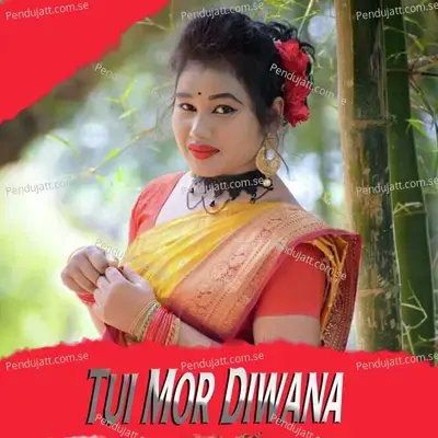 Tui Mor Diwana - Banti Mahanand album cover 