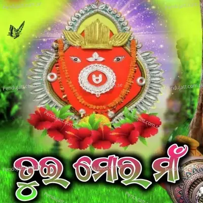 Tui Mor Maa - Sailesh Samal album cover 