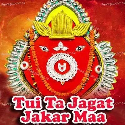 Tui Ta Jagat Jakar Maa - Madhab Bag album cover 