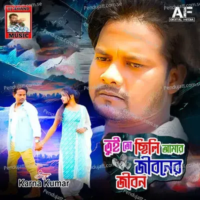 Tui To Chili Amar Jiboner Jibon - Karna Kumar album cover 