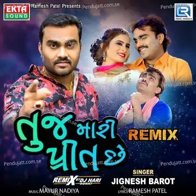 Tuj Mari Preet Chhe Remix - Jignesh Barot album cover 