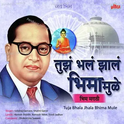 Bhimacha Kayda - Shalini Gavai album cover 