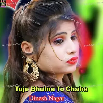 Tuje Bhulna To Chaha - Dinesh Nagar album cover 