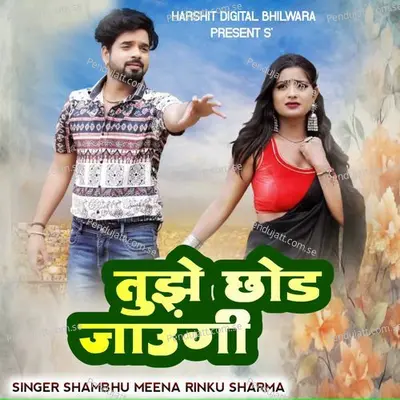 Tuje Chhod Jaaungi - Shambhu Meena album cover 