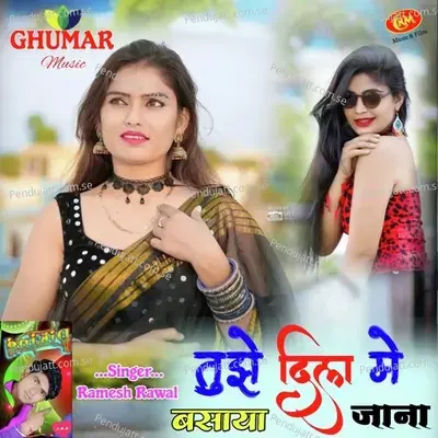 Tuje Dil Me Basaya Jana - Ramesh Rawal album cover 