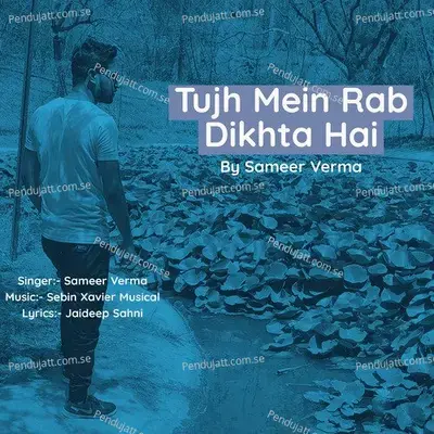 Tujh Mein Rab Dikhta Hai - Sameer Verma album cover 