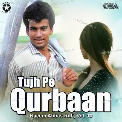 Teri Khatir Jal Rahe Hain - Naeem Abbas Rufi album cover 