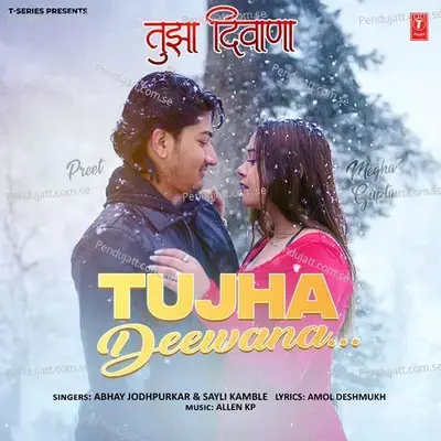 Tujha Deewana - Abhay Jodhpurkar album cover 
