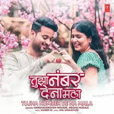 Tujha Number De Na Mala - Harshavardhan Wavare album cover 