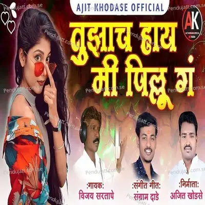 Tujhach Aahe Mi Pillu G - Vijay Sartape album cover 