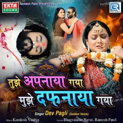 Tujhe Apnaya Gaya Mujhe Dafnaya Gaya - Dev Pagli album cover 