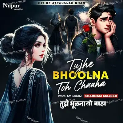 Tujhe Bhoolna Toh Chaaha - Shabnam Majeed album cover 