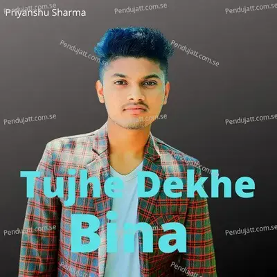 Tujhe Dekhe Bina - Priyanshu Sharma album cover 