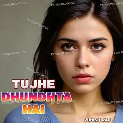 Tujhe Dhundhta Hai - Vikash Raj album cover 