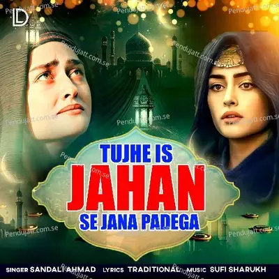 Tujhe Is Jahan Se Jana Padega - Sandali Ahmad album cover 