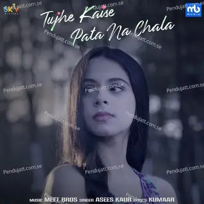 Tujhe Kaise Pata Na Chala - Asees Kaur album cover 