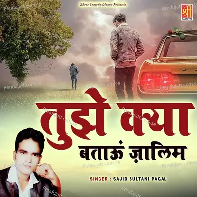 Tujhe Kya Batau Zalim - Sajeed Sultani album cover 