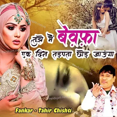 Tujhe Main Bewafa Ek Din Tadapta Chod Jaunga - Tahir Chishti album cover 