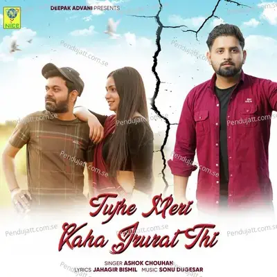 Tujhe Meri Kaha Jarurat Thi - Ashok Chouhan album cover 