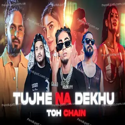 Tujhe Na Dekhu Toh Chain - MC STAN album cover 