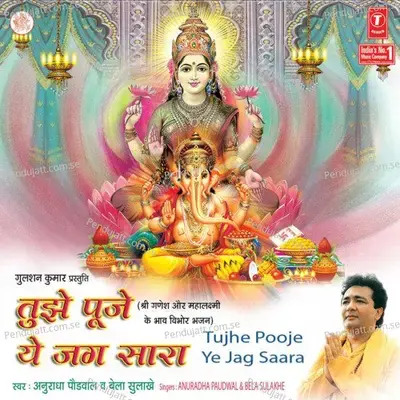 Tujhe Pooje Ye Jag Saara - Anuradha Paudwal album cover 