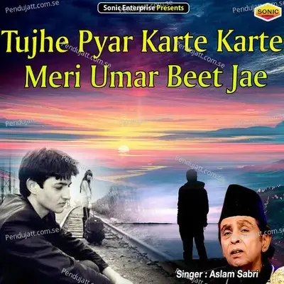 Tujhe Pyar Karte Karte Meri Umar Beet Jae - Aslam Sabri album cover 