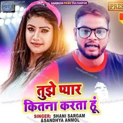 Tujhe Pyar Kitna Krta Hu - Shani Sargam album cover 