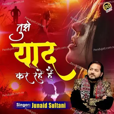 Tujhe Yaad Kar Rahe Hain - Junaid Sultani album cover 