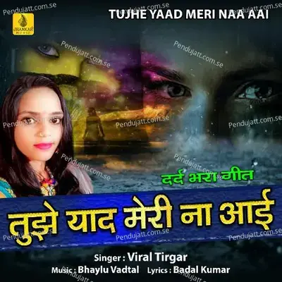 Tujhe Yaad Meri Naa Aai - Viral Tirgar album cover 