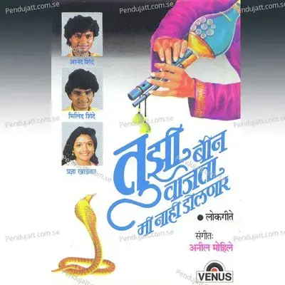 Tujhi Been Vajata - Anil Mohile album cover 