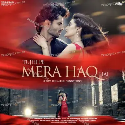 Tujhi Pe Mera Haq Hai (From 