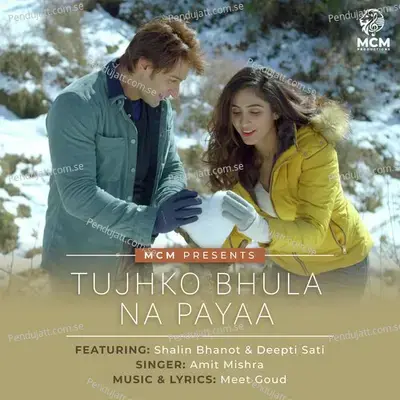 Tujhko Bhula Na Payaa - Amit Mishra album cover 