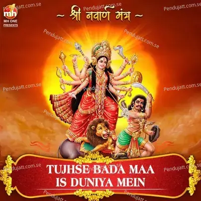 Tujhse Bada Maa Is Duniya Mein - Vipin Sachdeva album cover 