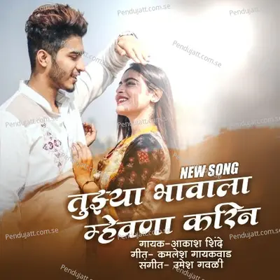 Tujhya Bhavala Mhevna Karin - Aakash Shinde album cover 