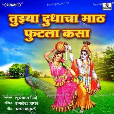 Tujhya Dudhacha Math Futla Kasa - Suryakant Shinde album cover 